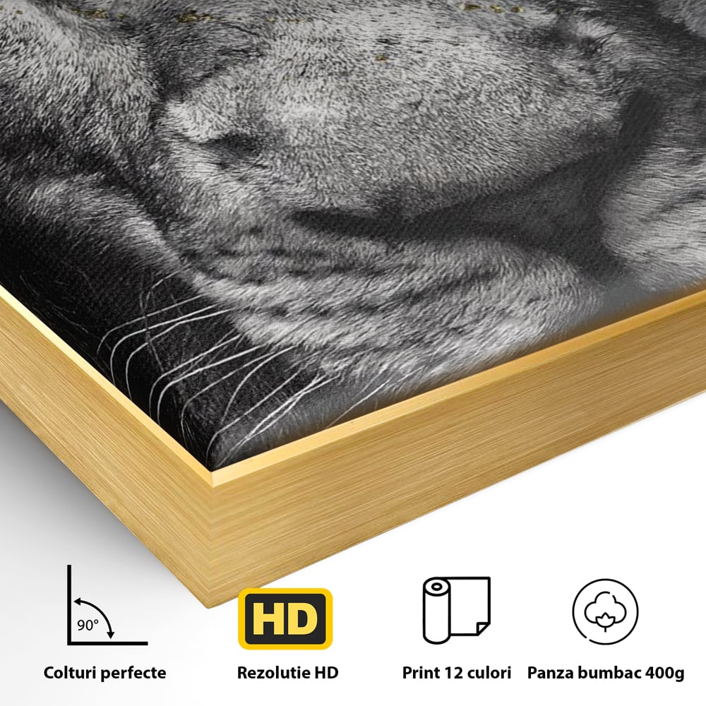 Detaliu al suprafetei: tablou canvas cu leu si ochi albastri, in rama de aluminiu auriu